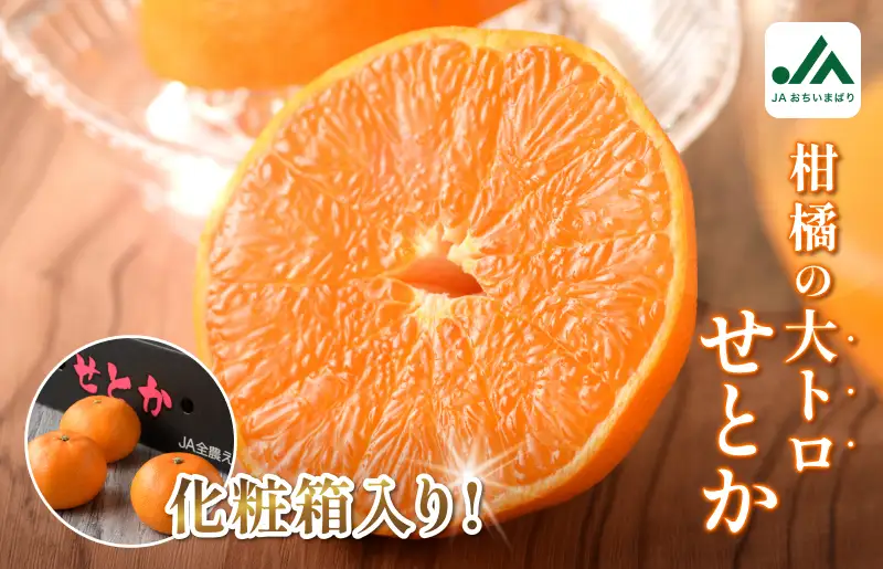 【先行予約】せとか（贈答用） 化粧箱 3L～L 10～15玉【KC00630】