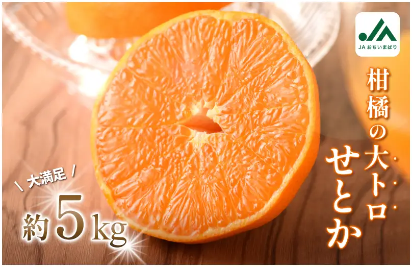 【先行予約】せとか（家庭用）レギュラー箱 約5kg【KC00770】