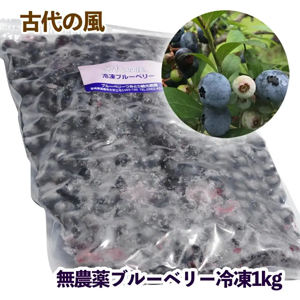 【先行予約】『古代の風』無農薬ブルーベリー１㎏ 冷凍＜23-8a＞