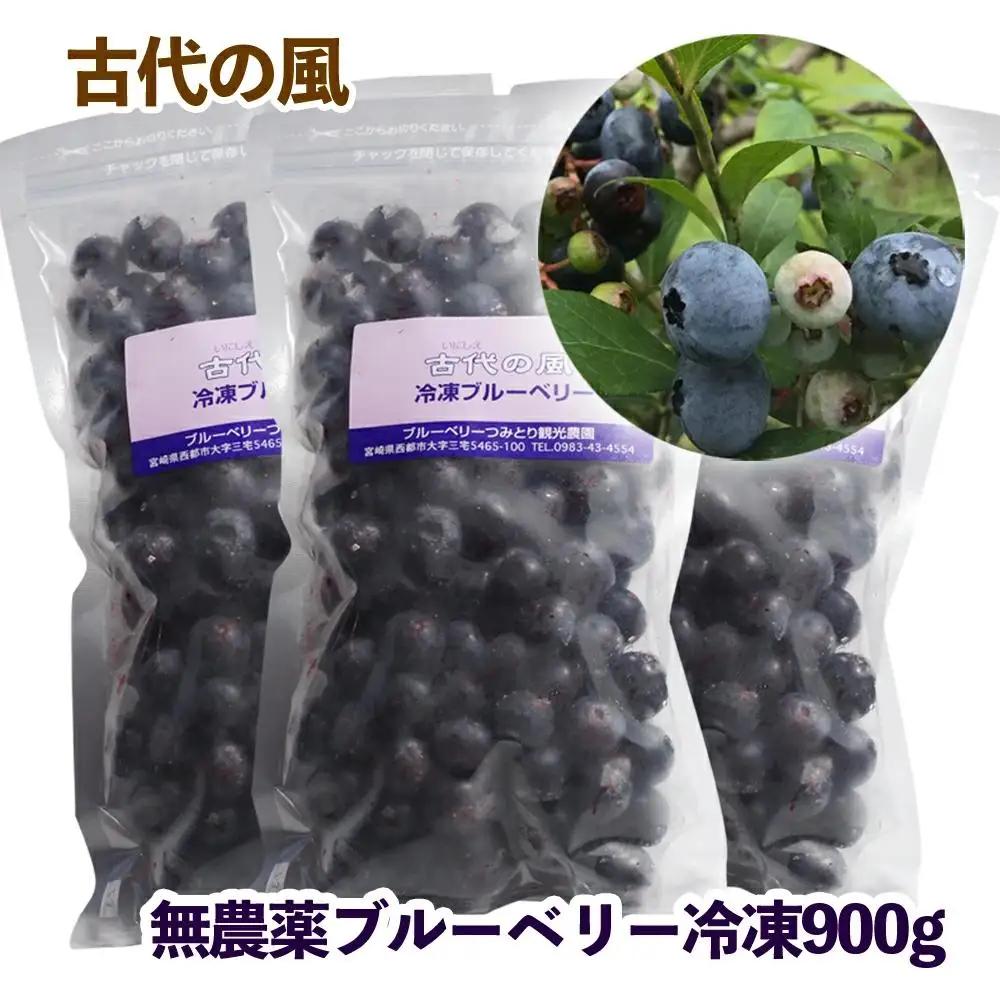 【先行予約】『古代の風』無農薬ブルーベリー900ｇ 冷凍 小分け300g×3＜23-9a＞