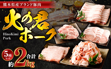 熊本県産 火の君ポークR 詰合せ 計約2kg 豚肉 肉 ブランド豚 豚こま ロース 肩ロース バラ 生姜焼き 焼肉 冷