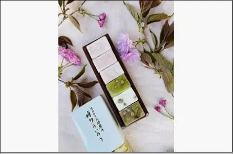 さくら入り博多ういろう詰め合わせ