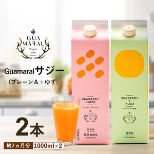  サジージュース 100%と+ゆず 1000ml×各1本セット（計2本）  _DX06