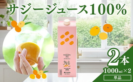  サジージュース 100% 1000ml×2本セット _DX04