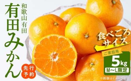 AT6304_【2026年先行予約】ご家庭用　有田みかん 約5kg (M、Lサイズ)【湯浅町】