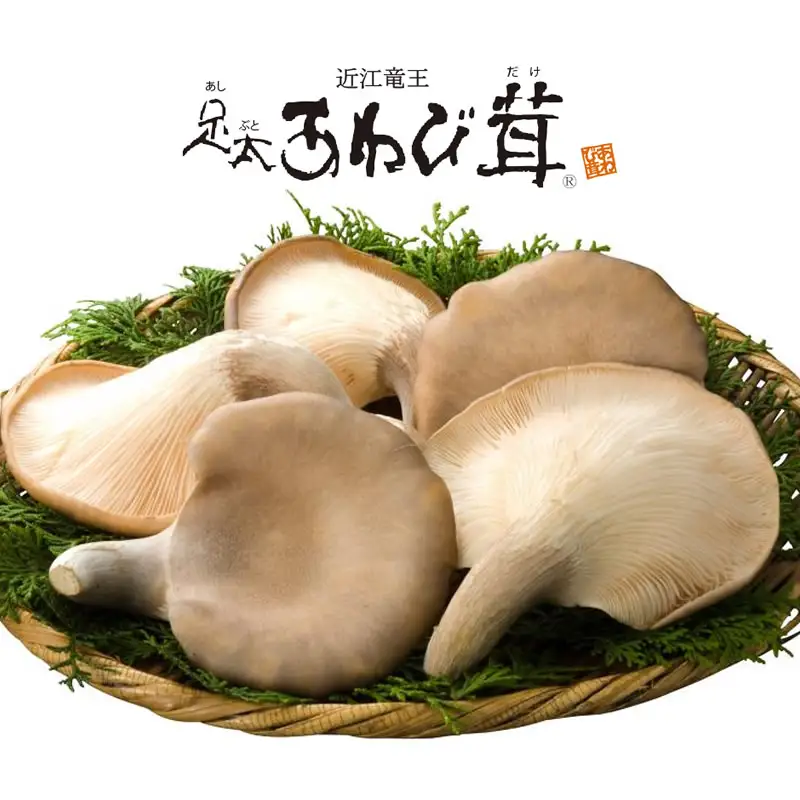 足太あわび茸（生）１kg