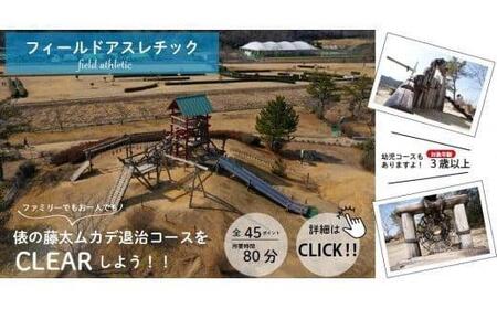  希望が丘文化公園 フィールド アスレチック 入場券 チケット ( 大人チケット 4枚 セット )  フィールドアスレチック アウトドア アクティビティ 自然 運動 家族 ファミリー 体験 滋賀県 竜王