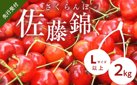 【先行予約2026年7月上旬より発送】余市の砂川果樹園が贈る もぎたて直送さくらんぼ 佐藤錦 2kg箱_Y033-0039