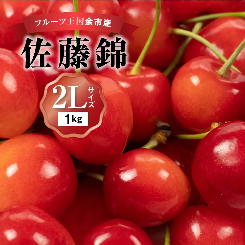 2026年発送【先行予約】令和8年産 佐藤錦【2Lサイズ】500g×2【ニトリ観光果樹園】さくらんぼの王様 余市 北海道 フルーツ王国 さくらんぼ サクランボ 桜桃 佐藤錦 余市産さくらんぼ 人気さくらんぼ ニトリ_Y074-0134