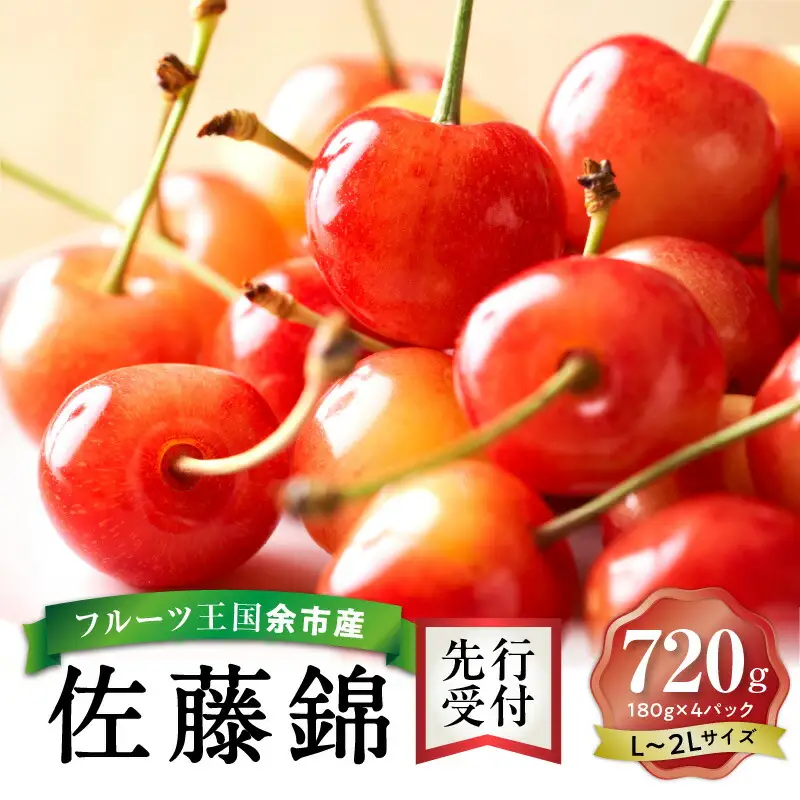 《2026年産先行受付》北海道産さくらんぼ【佐藤錦】L～2Lバラ詰め 180g×4 サクランボ 果物 フルーツ 季節限定_Y074-0136