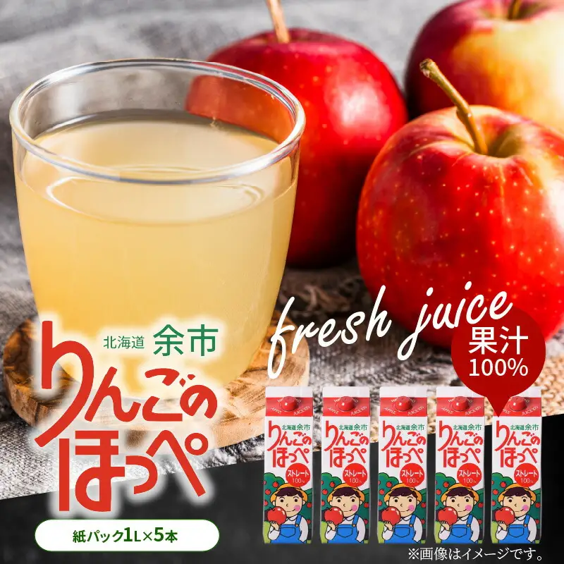 りんごの産地 北海道産 りんご ジュース アップルジュース りんごのほっぺ 1L × 5本 果汁100% ストレート 紙パック ジュース 飲料 果物 フルーツ りんご アップル 美味しい お取り寄せ 飲み物 贈り物 ギフト プレゼント 北海道 余市町_Y034-0117