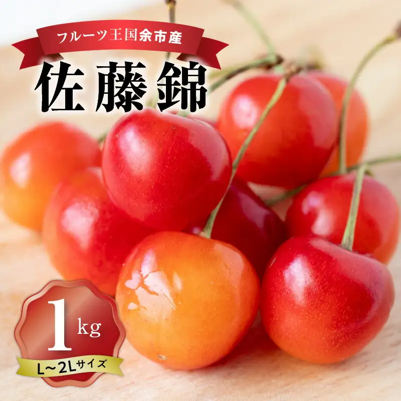 2026年発送【先行予約】令和8年産 佐藤錦【L～2Lバラ詰め】500g×2 【ニトリ観光果樹園】さくらんぼの王様 余市 北海道 フルーツ王国 さくらんぼ サクランボ 桜桃 佐藤錦 余市産さくらんぼ 人気さくらんぼ ニトリ_Y074-0137