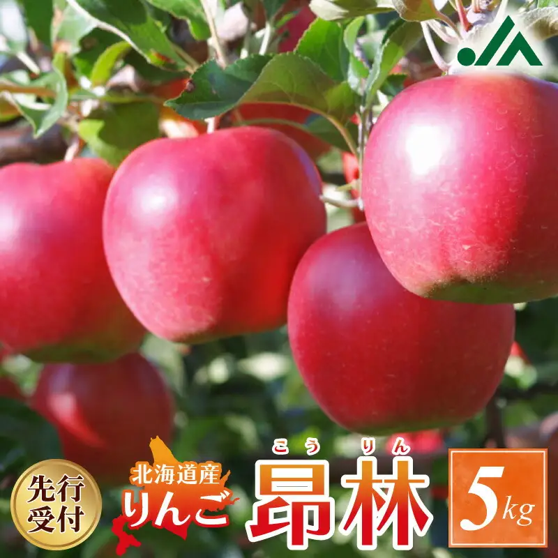【先行受付：2026年10月中旬以降発送分】りんご（昂林）5kg_Y010-0661
