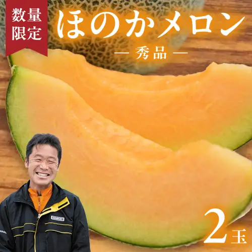 【先行予約】茨城県産ほのかメロン2玉 (2026年7月下旬から発送開始) | メロン