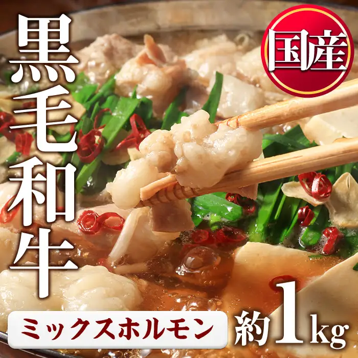 黒毛和牛 ミックス ホルモン 計1kg 国産 牛肉 【LRプラスK】No.1001-01
