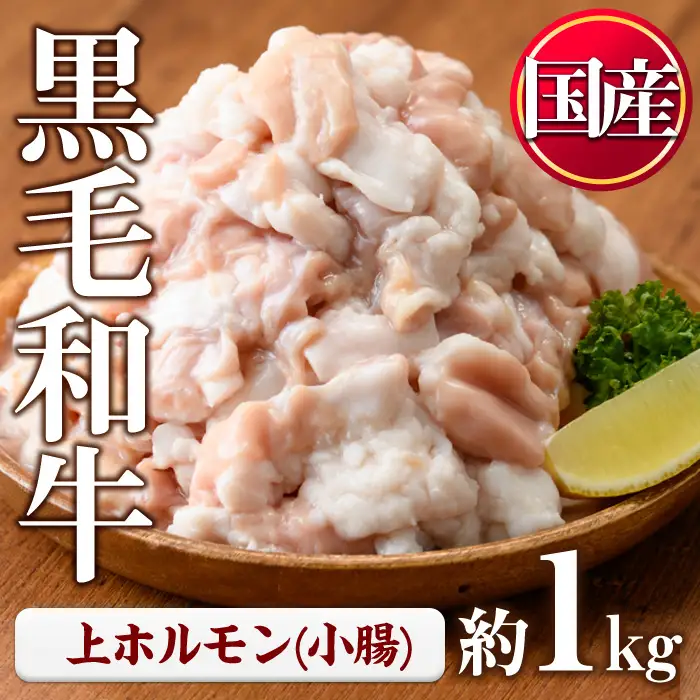 ホルモン 黒毛和牛 上ホルモン (計1kg) 【カミチク】 No.1001-02