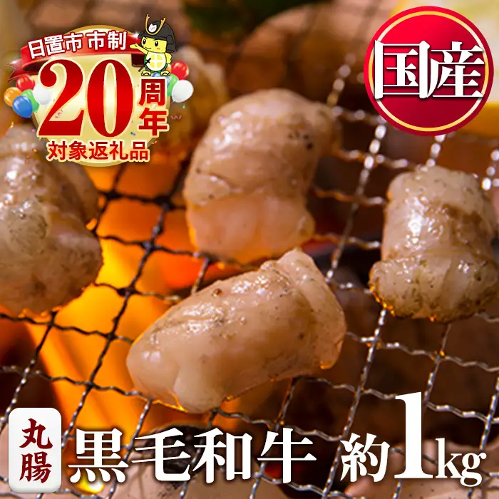 No.1001-03 黒毛和牛丸腸(計1kg)国産 九州産 牛肉 黒毛和牛 和牛 ホルモン 焼肉 鉄板焼き もつ鍋 冷凍 小分け 寄附額改定【カミチク】