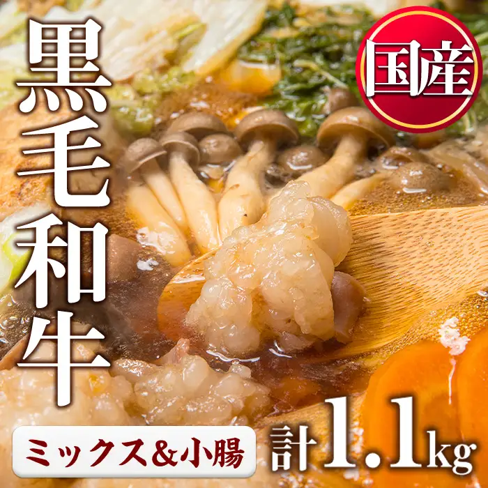 国産 黒毛和牛 ミックスホルモン 上ホルモン 合計1.1kg 牛肉 【カミチク】No.1001-04