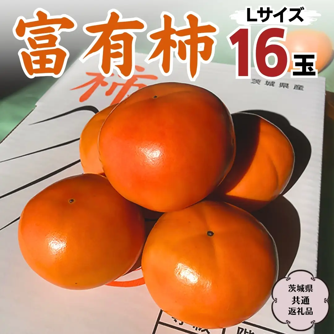 富有柿 L 16玉 (茨城県共通返礼品 石岡市) 果物 くだもの フルーツ 柿 かき 2026年11月中旬以降発送 [DC001sa]