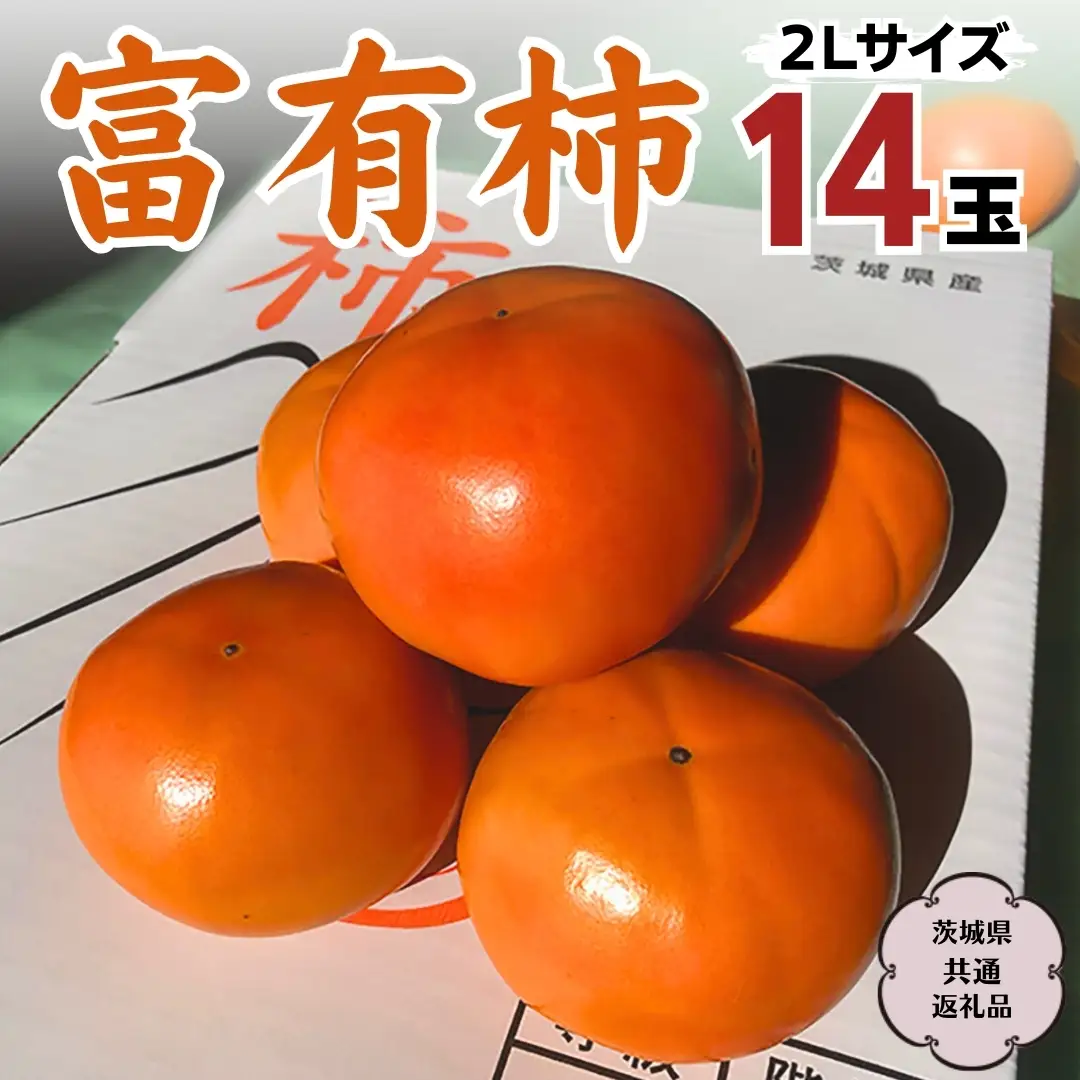 富有柿 2L 14玉 (茨城県共通返礼品 石岡市) 果物 くだもの フルーツ 柿 かき 2026年11月中旬以降発送 [DC003sa]
