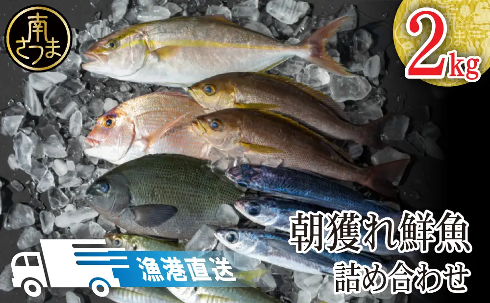 【漁港直送】朝獲れ鮮魚 詰め合わせ 2kg