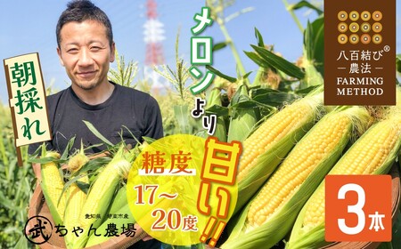 【2026年発送】【お試し】朝採り直送 メロンより甘い 生とうもろこし“にっこりコーン” 3本 H095-028
