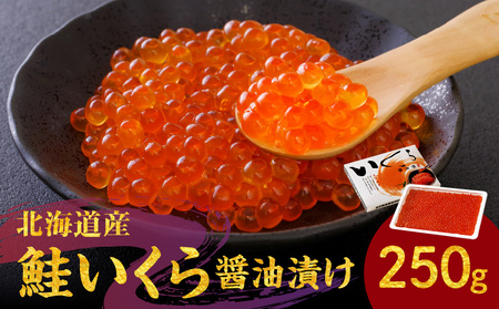 北海道産 いくら 醤油漬け 250g イクラ_Y006-0009