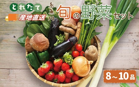 直売所からお届け！旬の野菜セット（8～10品詰め合わせ）JA 新鮮な野菜直送便 糸魚川 新潟 【大根･白菜･春菊･アスパラ菜･しいたけ･ほうれん草･ふきのとう･タラの芽･山菜･にんじん･イチゴ･トマト･きゅうり･ピーマン･ジャガイモ･玉ねぎ･オクラ･枝豆･トウモロコシ･なす･生きくらげ･長ネギ･サツマイモ･里芋】