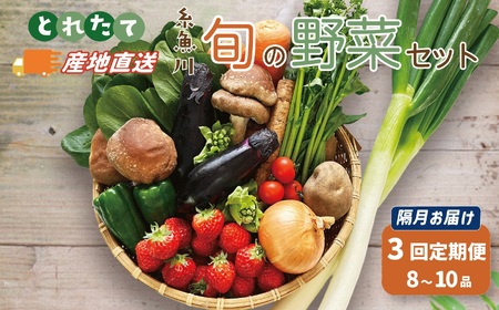 直売所からお届け！旬の野菜セット【隔月3回お届け】（8～10品詰め合わせ）JA 新鮮な野菜直送  糸魚川 新潟【大根･白菜･春菊･アスパラ菜･しいたけ･ほうれん草･ふきのとう･タラの芽･山菜･にんじん･イチゴ･トマト･きゅうり･ピーマン･ジャガイモ･玉ねぎ･オクラ･枝豆･トウモロコシ･なす･生きくらげ･長ネギ･サツマイモ･里芋】