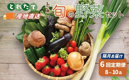 直売所からお届け！旬の野菜セット【隔月6回お届け】（8～10品詰め合わせ）JA 新鮮な野菜直送便  糸魚川 新潟【大根･白菜･春菊･アスパラ菜･しいたけ･ほうれん草･ふきのとう･タラの芽･山菜･にんじん･イチゴ･トマト･きゅうり･ピーマン･ジャガイモ･玉ねぎ･オクラ･枝豆･トウモロコシ･なす･生きくらげ･長ネギ･サツマイモ･里芋】 