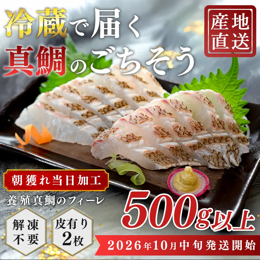 【先行受付】 朝獲れ 真鯛 フィーレ 皮付き 500g以上 刺身 冷蔵 養殖 たい タイ マダイ セット 真空パック 産地直送 当日発送 鮮度抜群 鯛めし 鯛丼 カルパッチョ 塩焼き お取り寄せ ギフト 贈答 はやぶさ水産 高知県 大月町 柏島産