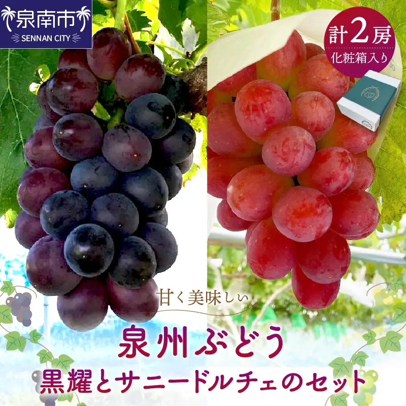 泉州ぶどう 黒耀とサニードルチェのセット【065D-014】