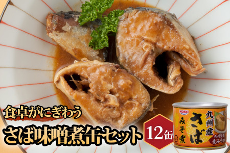 さば味噌煮缶セット(12缶)( 保存食 非常食 防災 備蓄 長期保存 )【B2-110】