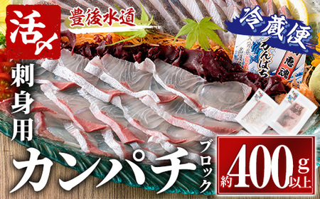 カンパチ 刺身用 ブロック 冷蔵(約400-500g・4-5人前) カンパチ かんぱち 神経締め 獲れたて 鮮魚 ブロック 刺身 冷蔵 海の直売所 大分県 佐伯市【AS132】【海べ (株)】