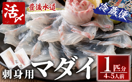 マダイ 刺身用 ブロック 冷蔵(1匹分・4-5人前) マダイ 真鯛 神経締め 獲れたて 鮮魚 ブロック 刺身 冷蔵 海の直売所 大分県 佐伯市【AS133】【海べ (株)】