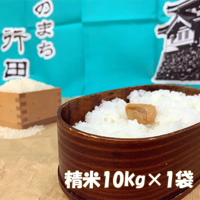 行田のお米 忍城献上米10kg［むかさ商店］ No.049
