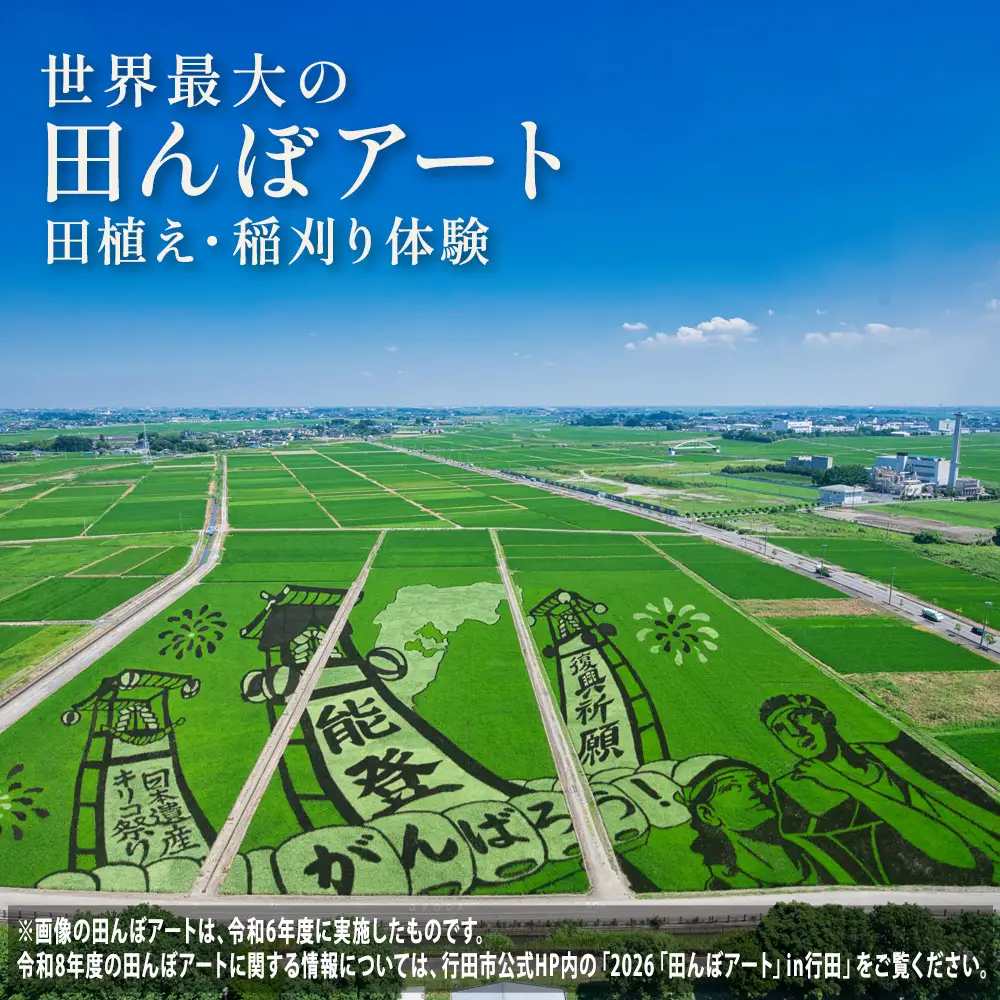 世界最大の田んぼアート田植え・稲刈り参加体験 No.083