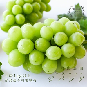 マスカット・ジパング 1房（1kg以上）内田農園 岡山県 瀬戸内市 邑久町産 葡萄 ぶどう 2026年【配達不可：北海道・沖縄・離島】 果物類 フルーツ 