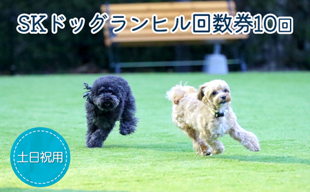 SKドッグランヒル回数券10回分(土日祝用) チケット 最大級 広い 人工芝 小型犬 大型犬 ベンチ 給水場 シャワー カフェ 