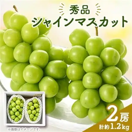 シャインマスカット(2房)【配送不可地域：離島】【1300088】