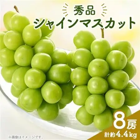シャインマスカット(8房)【配送不可地域：離島】【1300099】