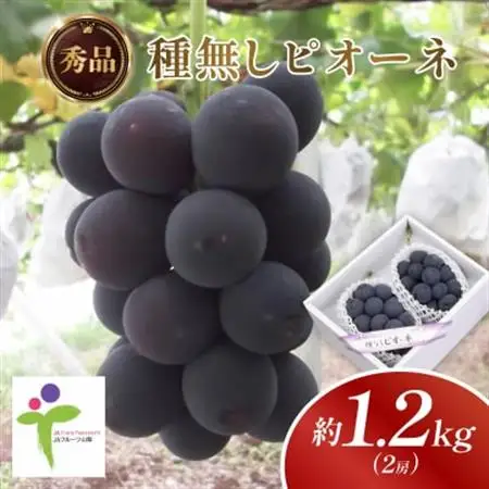 種なしピオーネ(2房)/80【配送不可地域：離島】【1300105】