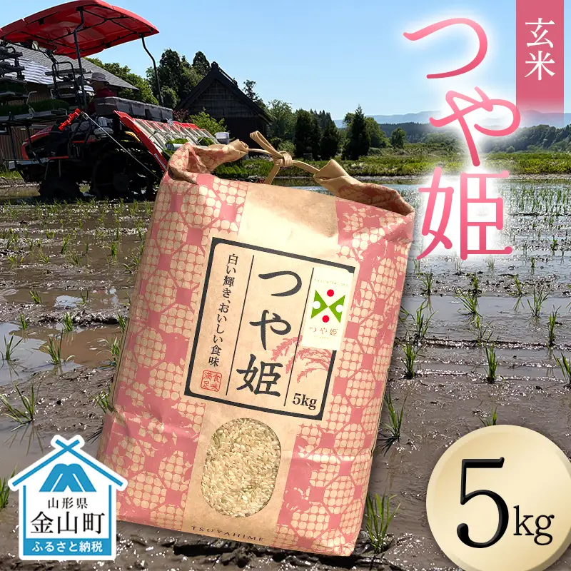 ＜先行予約＞令和8年産【玄米】つや姫マイスターの技を継承「つや姫」（5kg） 食品 金山町 山形県 ごはん F4B-0767