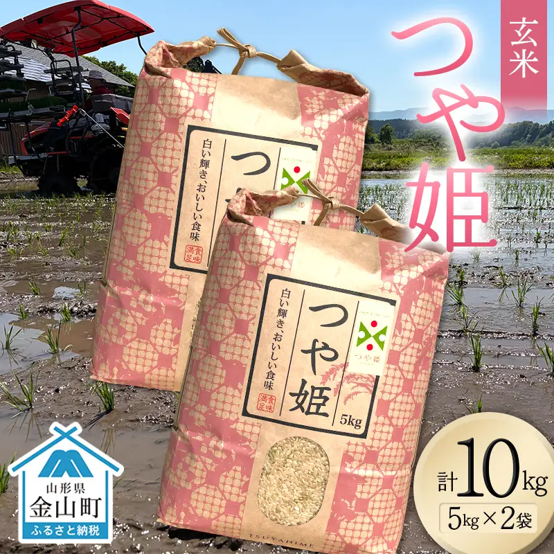 ＜先行予約＞令和8年産【玄米】つや姫マイスターの技を継承「つや姫」10kg（5kg×2） 食品 金山町 山形県 ごはん F4B-0768