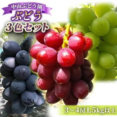 【2026年先行予約】ぶどう おまかせ3種 食べ比べセット 1.5kg 以上 (3?4房) 中山ぶどう園 |  ぶどう 食べ比べセット