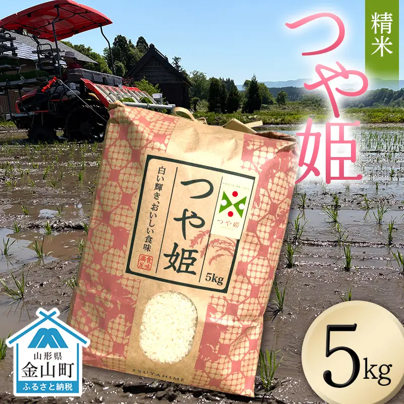 ＜先行予約＞令和8年産【精米】つや姫マイスターの技を継承「つや姫」（5kg） 食品 金山町 山形県 ごはん F4B-0765