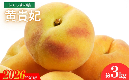 No.2688福島のもも 黄貴妃　約3kg【2026年発送 先行予約】