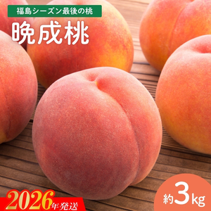 No.2689福島シーズン最後の桃『晩成桃』約3kg【2026年発送 先行予約】