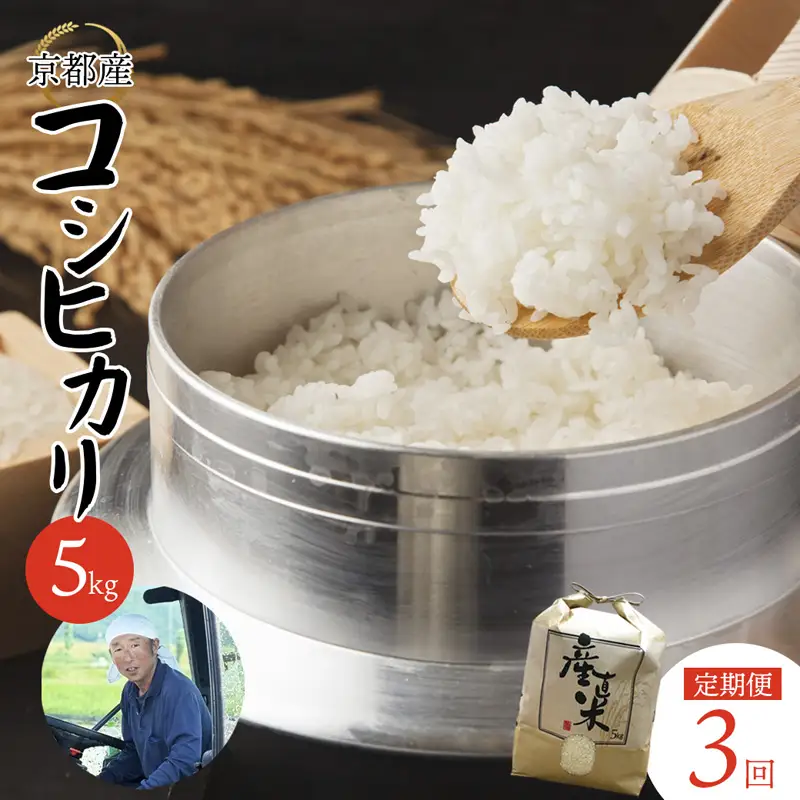 【定期便３回】 【令和7年度産】 コシヒカリ 5kg×3回 合計15kg 白米 精米