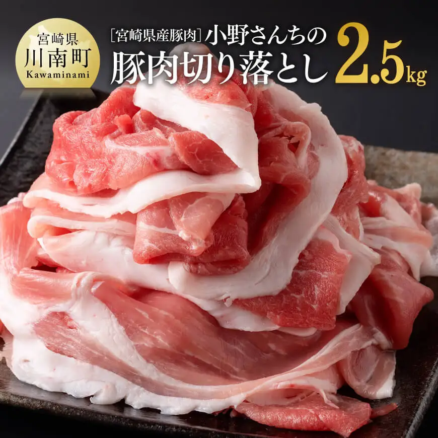 宮崎県産豚肉小野さんちの豚肉切り落とし2.5kg 豚肉
